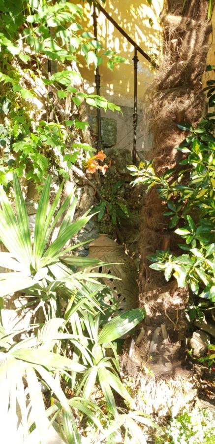 La Cordeline Bed & Breakfast Brignoles